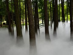 -东湖落雁景区