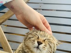 -前叁門