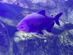 -泉城欧乐堡海洋极地世界