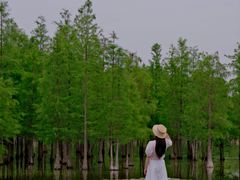 -白鹭湾湿地公园