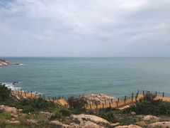 -广东惠东海龟国家级自然保护区