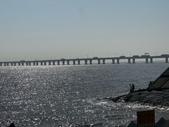 -阿尔法海鲜排档(爱琴海店)