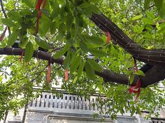 -重庆十八梯传统风貌区