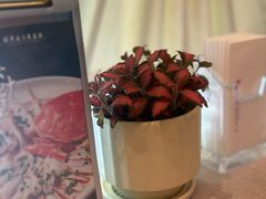 -清水蘭軒