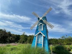 -铁山坪森林公园