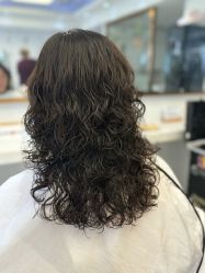 -镁连社·美联社