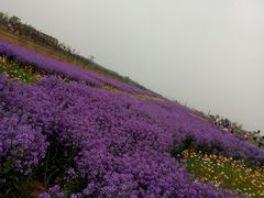 -君乐宝优致牧场