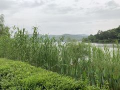 -天目湖涵田半山温泉