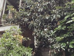 -二楼南书房