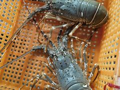 -拉威海鲜市场
