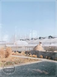 点击看大图 -前小桔亲子创意农场·草莓采摘·露营烧烤