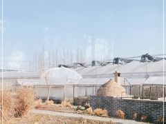 -前小桔亲子创意农场·草莓采摘·露营烧烤