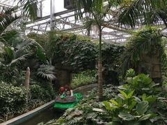 -南宫五洲植物乐园