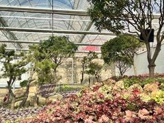 -沂蒙云瀑洞天景区