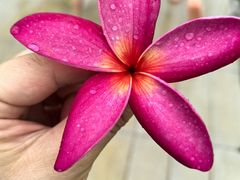 -有间冰室(侨港风情街店)