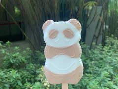 -成都大熊猫繁育研究基地