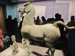 -广西壮族自治区博物馆