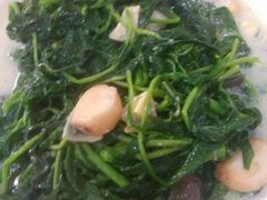 上汤苋菜-腰记饭店(龙源路店)