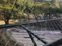 -三水森林公园