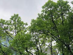 -天河体育中心
