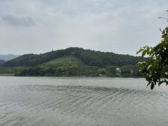 -广州市石门国家森林公园