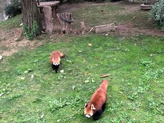 -西安秦岭野生动物园