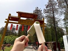 -渌洋湖湿地公园