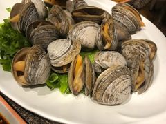 蚬子-金海湾海鲜总店
