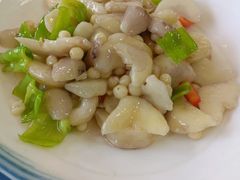 -杨辉饭店