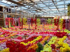 -吉祥圣雪藏餐