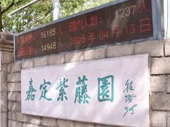 -嘉定紫藤园