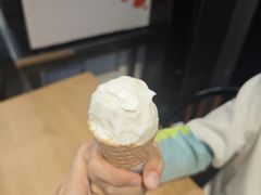 -野人先生现做冰淇淋(北京顺义祥云小镇店)