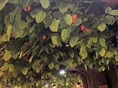 -四世同堂·京菜·烤鸭(双井店)