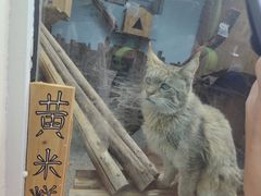 -青藏高原野生动物园
