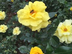 -人民公园(罗湖区)