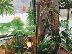 -J Create城市露营咖啡·简餐·宠物(上海动物园店)