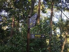 -三门江国家森林公园