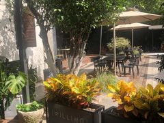 -Willing·Coffee&Brunch&Dinner(万达店)