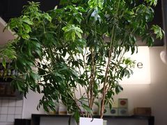 -明谦·Coffee&Cocktail Bar(美您公园店)