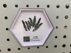 -明蜀王陵(地铁站)