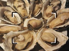 -天都火锅酒楼(虹梅南路店)