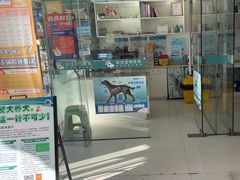 -玖佳宠物医院·泌尿·骨科·中老年病