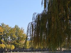 -中国农业博物馆