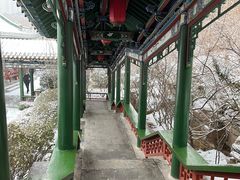 -迎泽公园