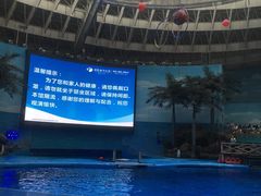 -海合安成都极地海洋公园