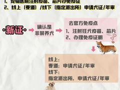 -瑞派申生动物医院·24H夜诊·国际动物医疗中心·骨外科(吴中路店)