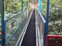 -七仙岭温泉国家森林公园