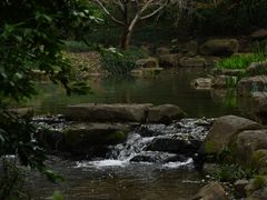 -中国茶叶博物馆(双峰馆区)