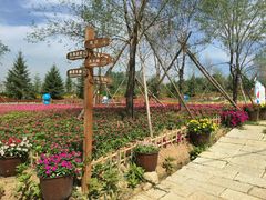 -北纬44度·金珠花海休闲农业旅游景区