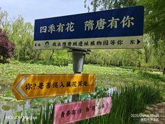 -洛阳市隋唐城遗址植物园